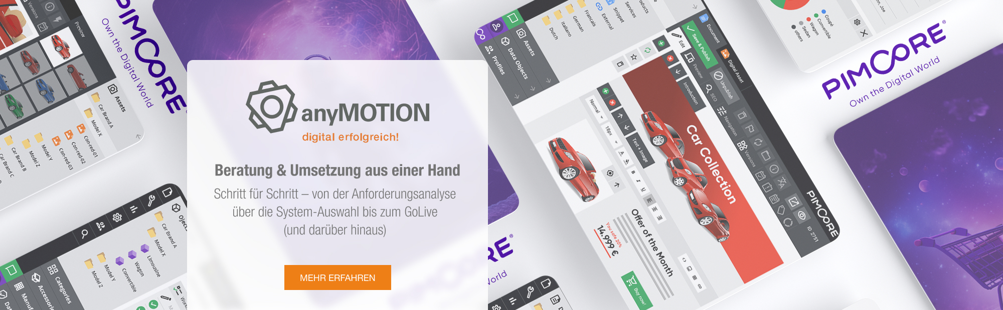 anyMOTION Pim